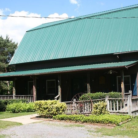 Bed and Breakfast The South Glenora Tree Farm Dundee Zewnętrze zdjęcie