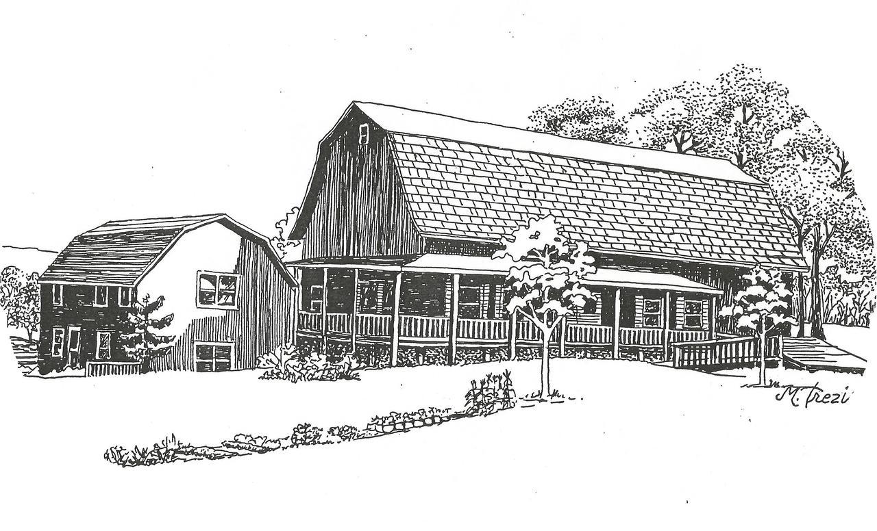 Bed and Breakfast The South Glenora Tree Farm Dundee Zewnętrze zdjęcie