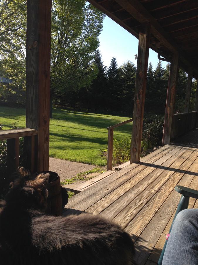 Bed and Breakfast The South Glenora Tree Farm Dundee Zewnętrze zdjęcie