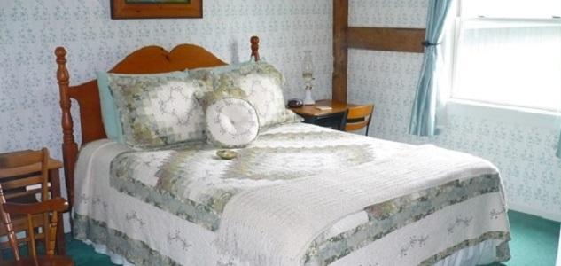 Bed and Breakfast The South Glenora Tree Farm Dundee Zewnętrze zdjęcie