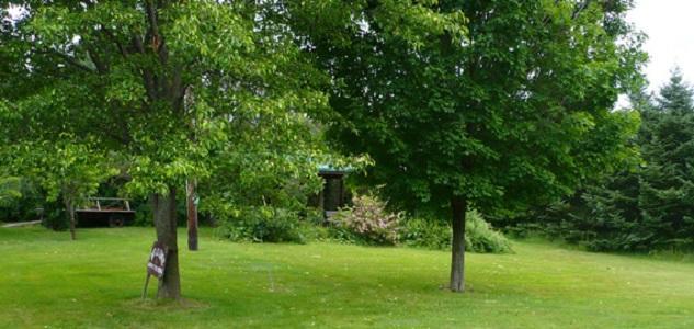 Bed and Breakfast The South Glenora Tree Farm Dundee Zewnętrze zdjęcie
