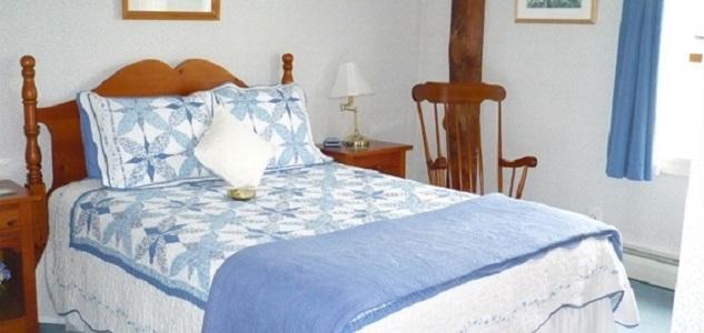 Bed and Breakfast The South Glenora Tree Farm Dundee Zewnętrze zdjęcie